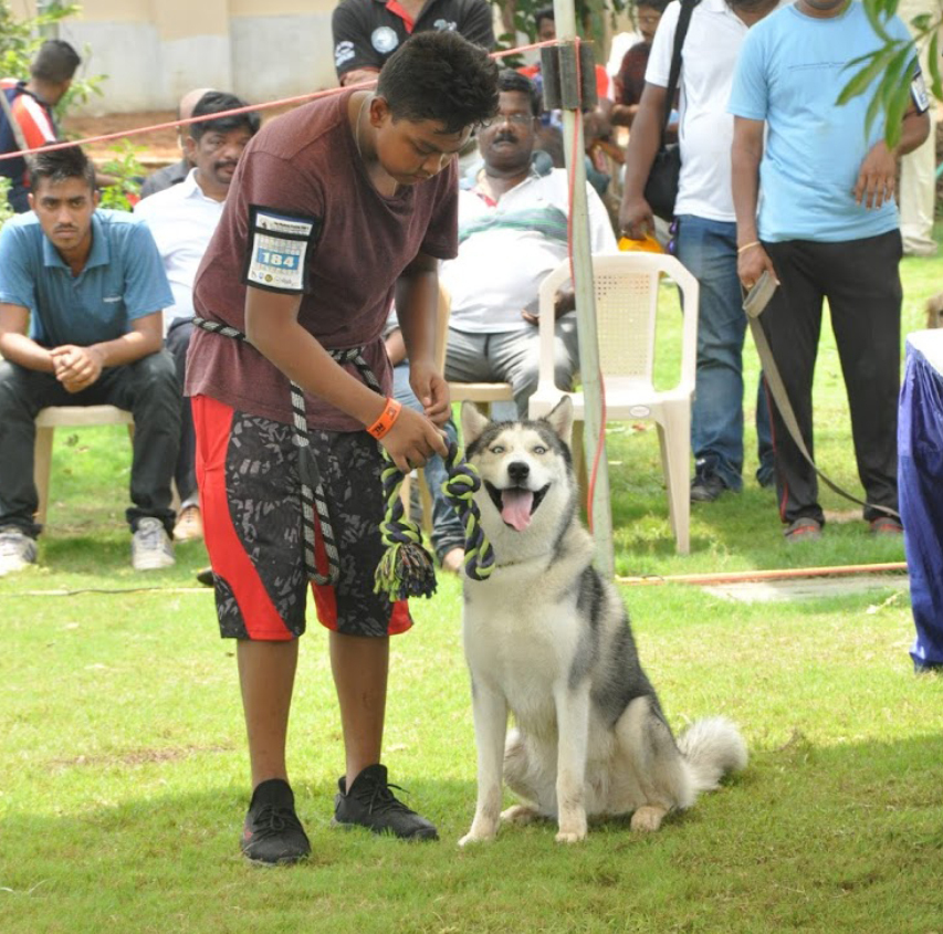 dog trainer at chennai