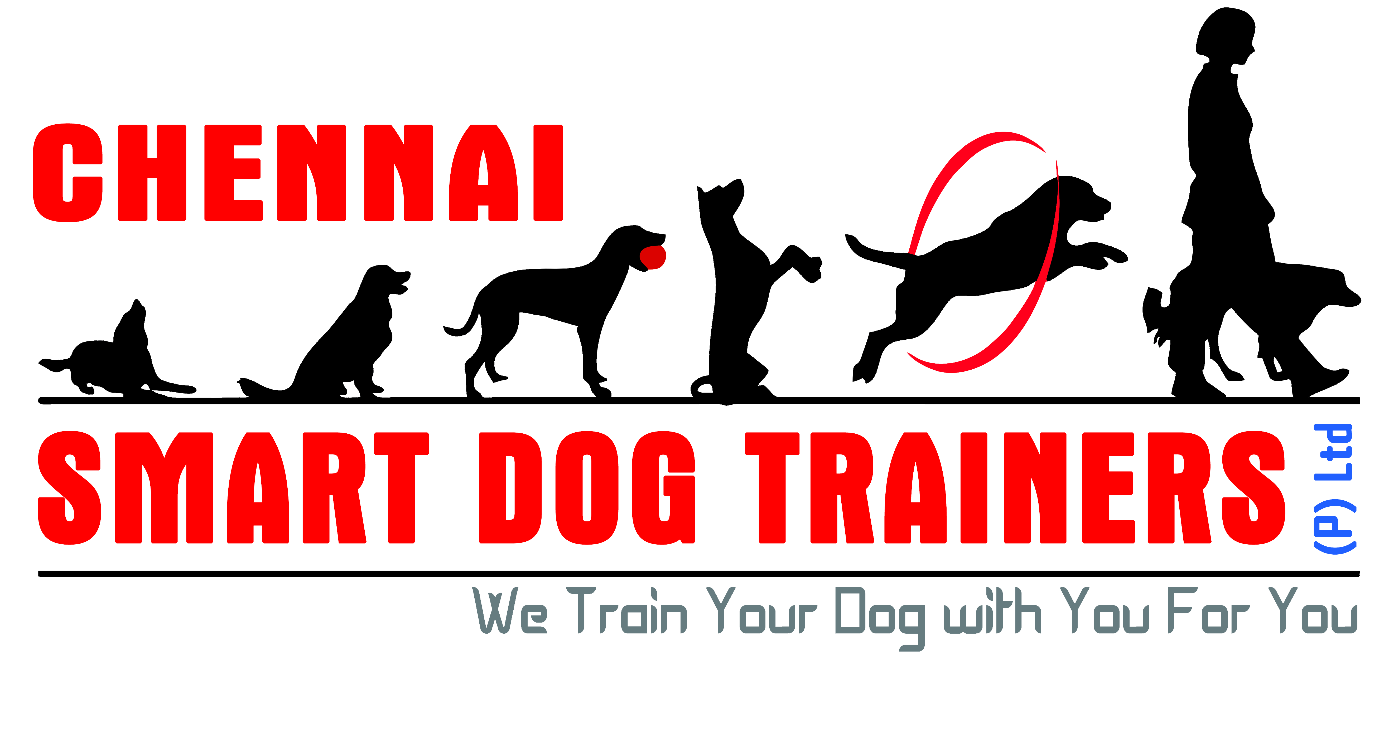 Smart Dog Trainers | Dog Training in Chennai | Dog Trainers